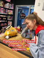 Мягкая игрушка Pou Поу Пу По Пуу из игры