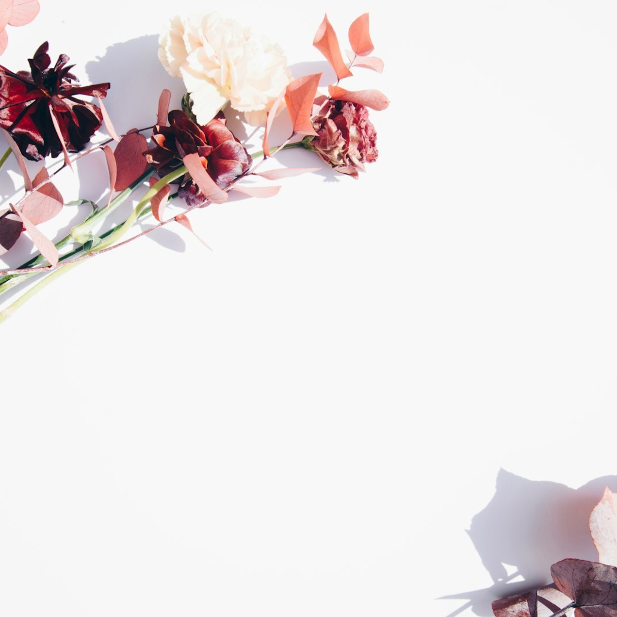 Чистота ваших ковров — наша забота! Закажите химчистку