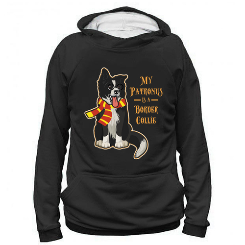 Толстовка "Колли - волшебник"