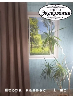 Штора канвас