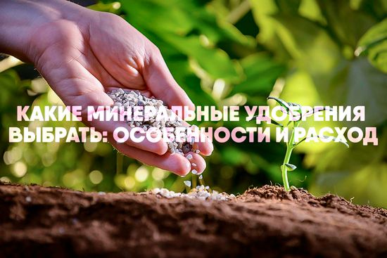 Какие минеральные удобрения выбрать: особенности и расход