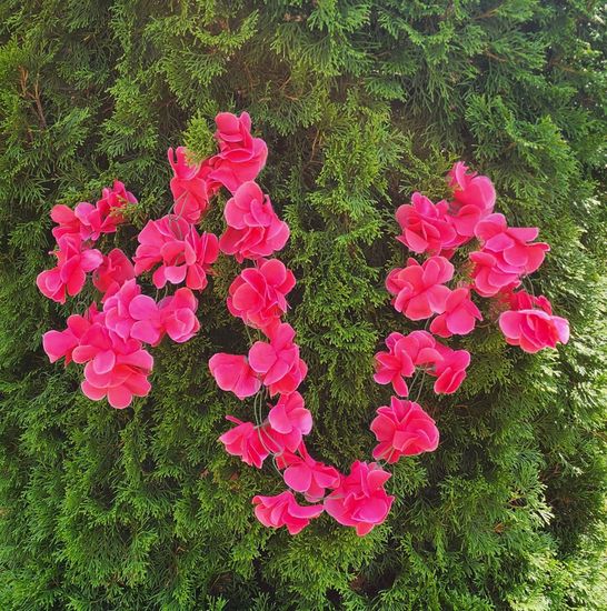 Гирлянда из цветов крупных, темно-розовая