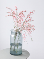 розовая гениста букет