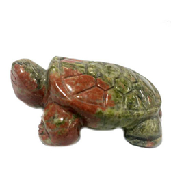 Черепаха унакит асс.