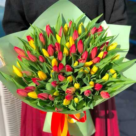 Букет из 75 тюльпанов