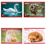 Альбом для рисования МАЛЫЙ ФОРМАТ А5, 20 листов, скоба, обложка офсет, ПИФАГОР, 200х148 мм, "Животные", 103723