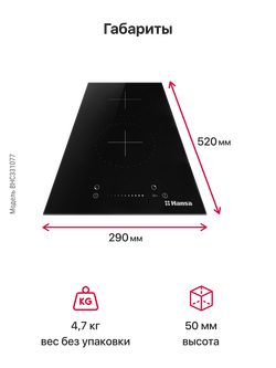 Электрическая панель Hansa BHC331077