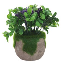 GAEM Цветочная композиция, L13 W13 H12 см