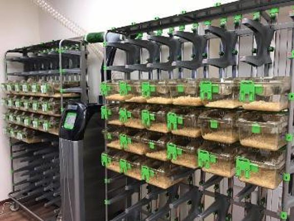 ФГБУ ГНЦ ФМБЦ им. А.И. Бурназяна ФМБА России