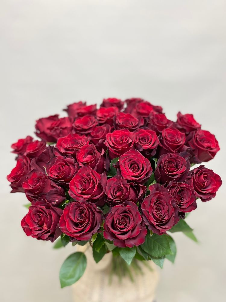 Букет 35 красных роз Эквадор 70см в ленте