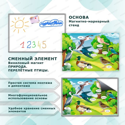 Комплект развивающий ПРИРОДА. ПЕРЕЛЁТНЫЕ ПТИЦЫ. 2185