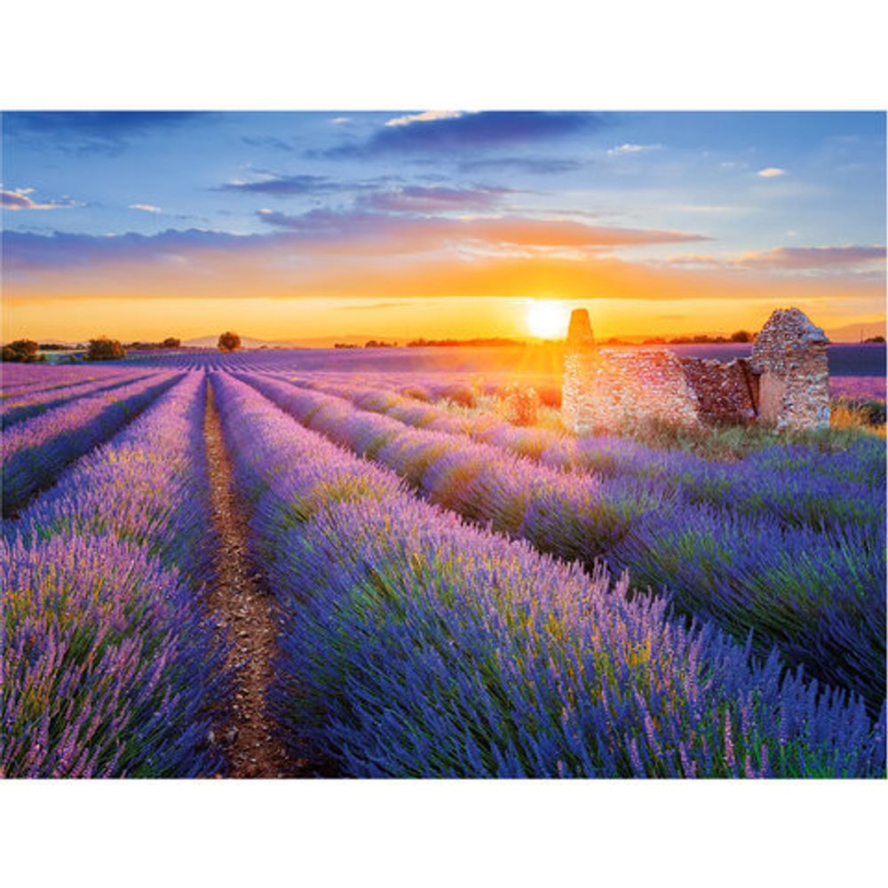 Картина стразами (алмазная мозаика) 40х50 см, ОСТРОВ СОКРОВИЩ "Лавандовое поле", на подрамнике, 662426