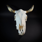 Череп быка с нижней челюстью