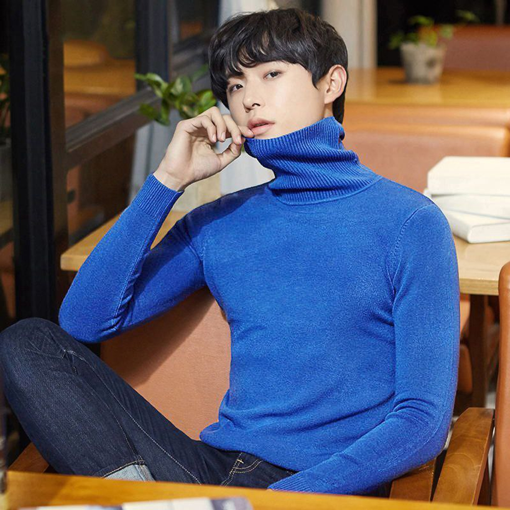 Водолазка мужская