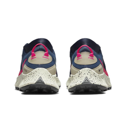 Мужские кроссовки Nike Pegasus Trail 3 Gore-tex 'Navy' DC8793-401