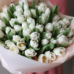 Акция! Букет 51 белый тюльпан