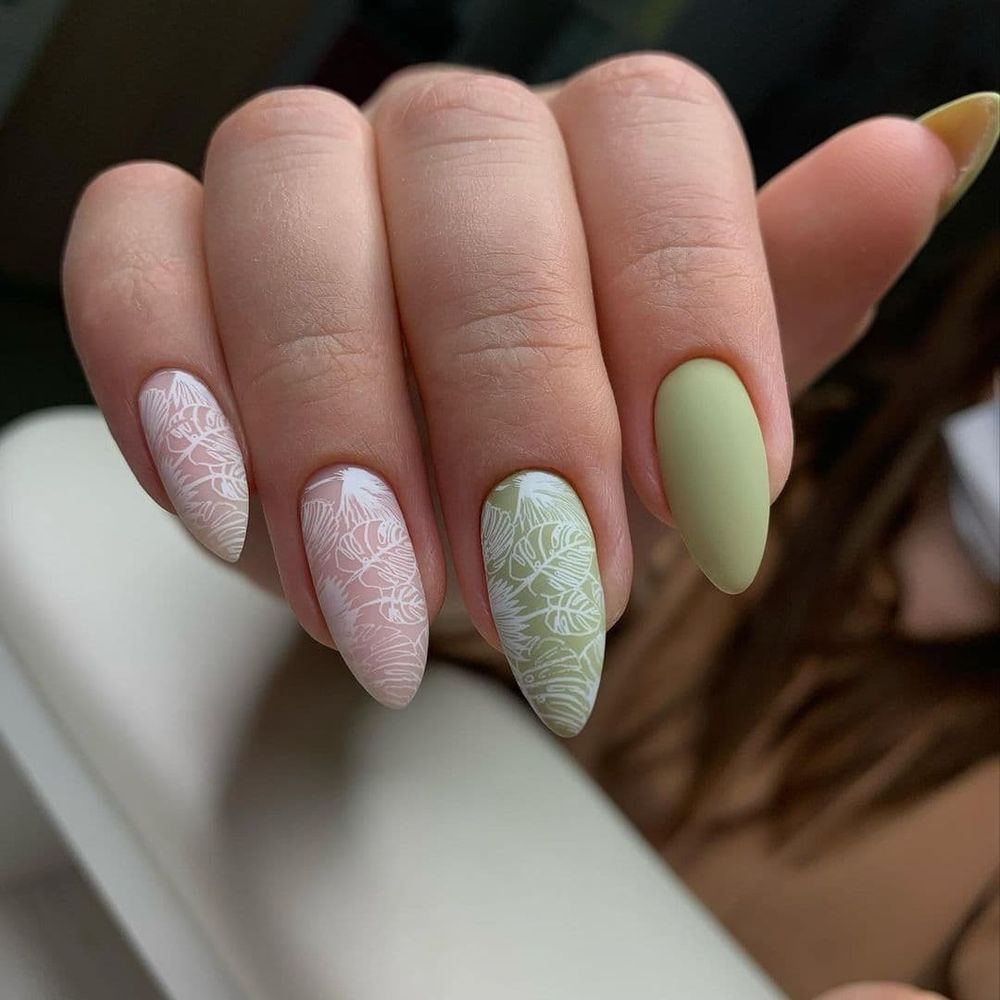 Swanky Stamping Пластина для стемпинга 106.