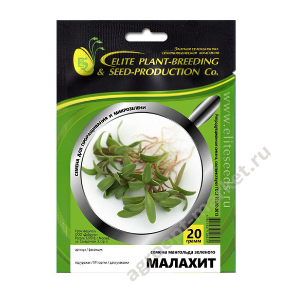 Семена для проращивания мангольда зелёного Малахит (Гавриш) – фото 2