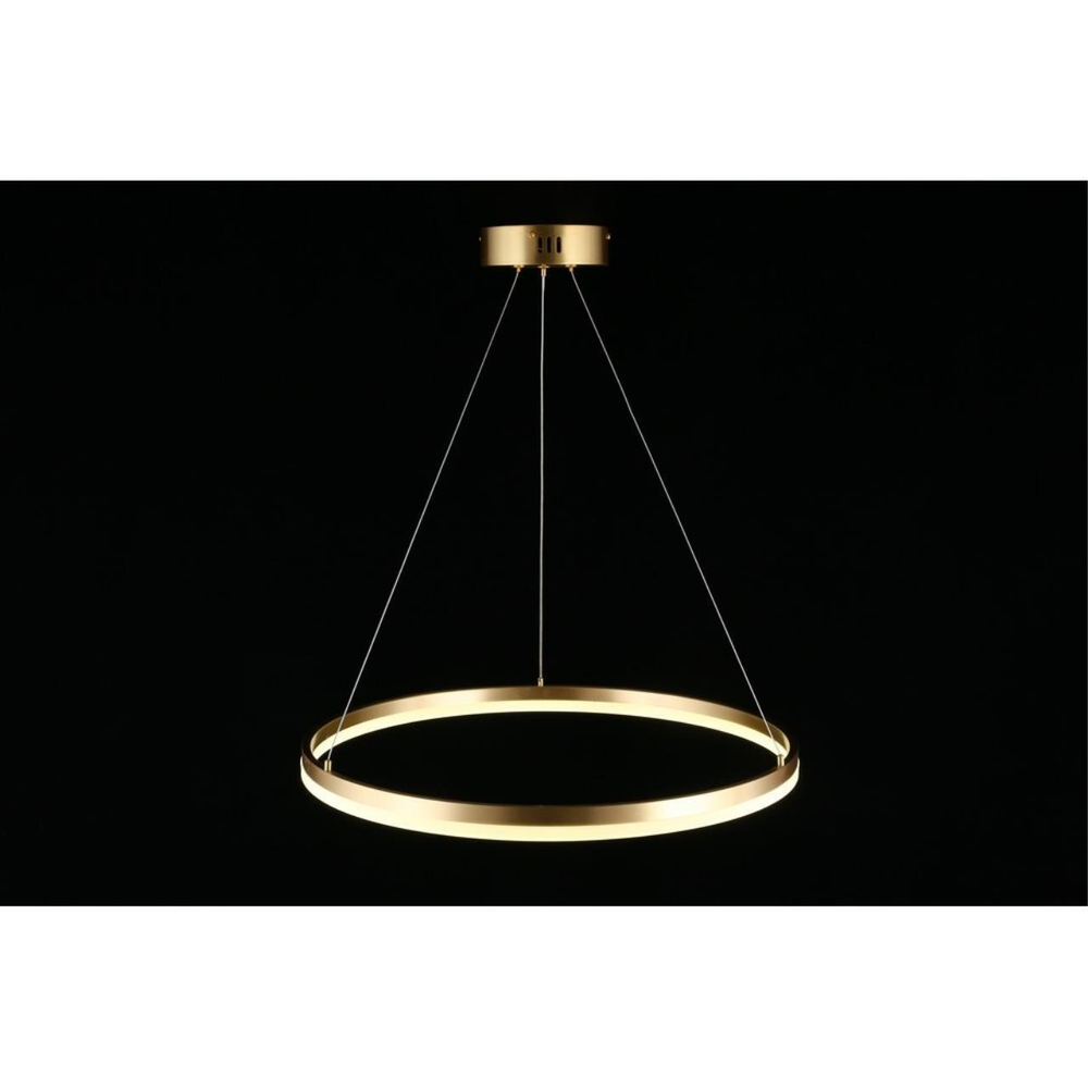 Подвесная светодиодная люстра Aployt Armel APL.049.13.40