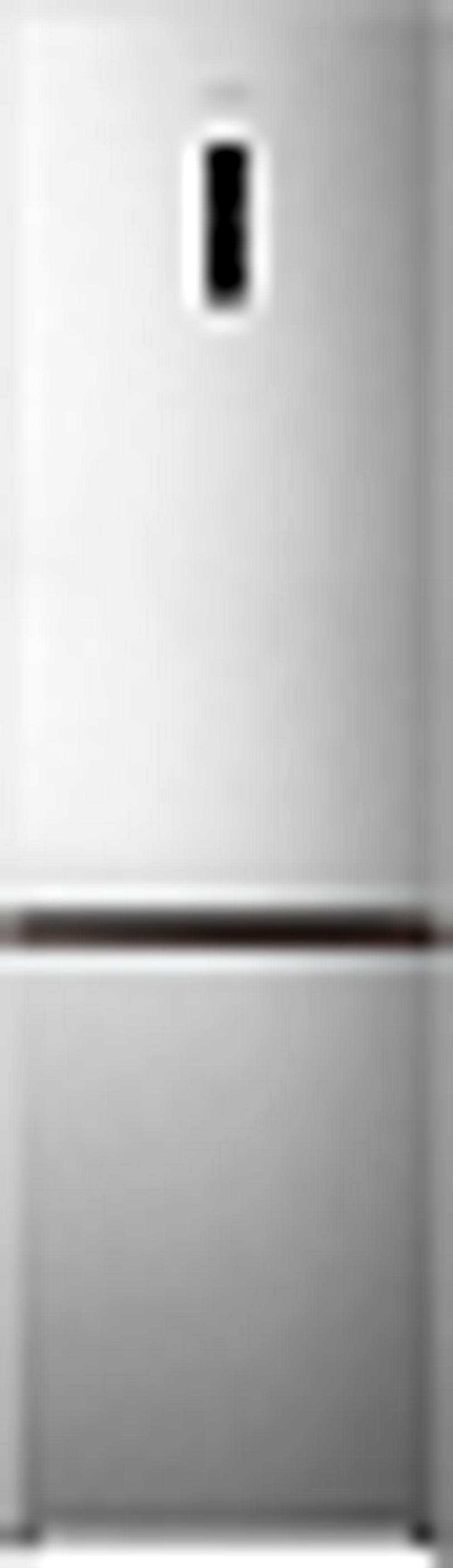 Отдельностоящий двухкамерный холодильник Gorenje NRK620FAXL4