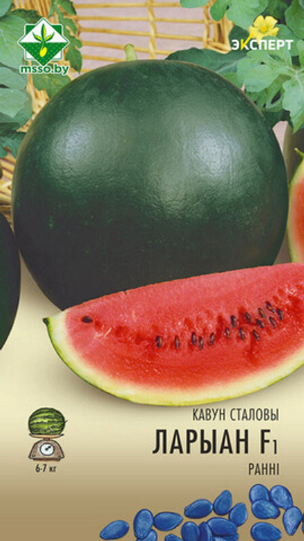 Арбуз "Лориан F1" 6шт, Нидерланды.