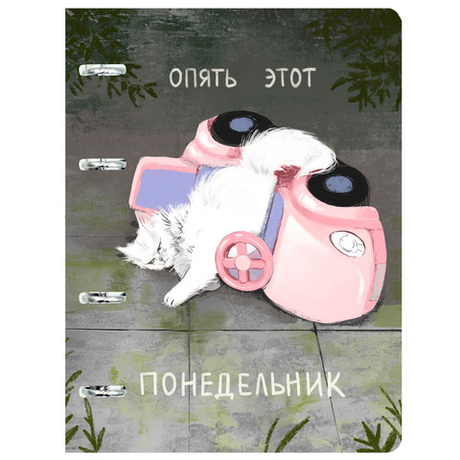 Тетрадь 100 л. А5 на кольцах ЭКСМО Понедельник (ТКП1005525)