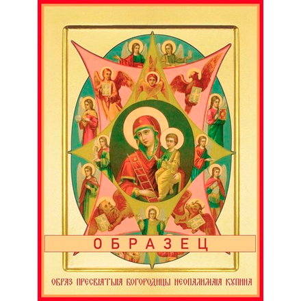 Неопалимая купина икона Божией Матери БМ-42 (бм/Н/5/1)