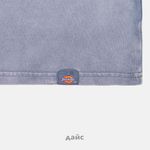  Футболка мужская Dickies Plentywood артикул:DK0A866BG701 - купить в магазине Дайс
