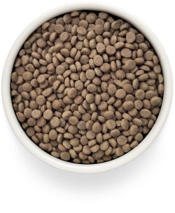 Grandorf URINARY S/O, Gluten & Grain Free, Veterinary Diet (Turkey)