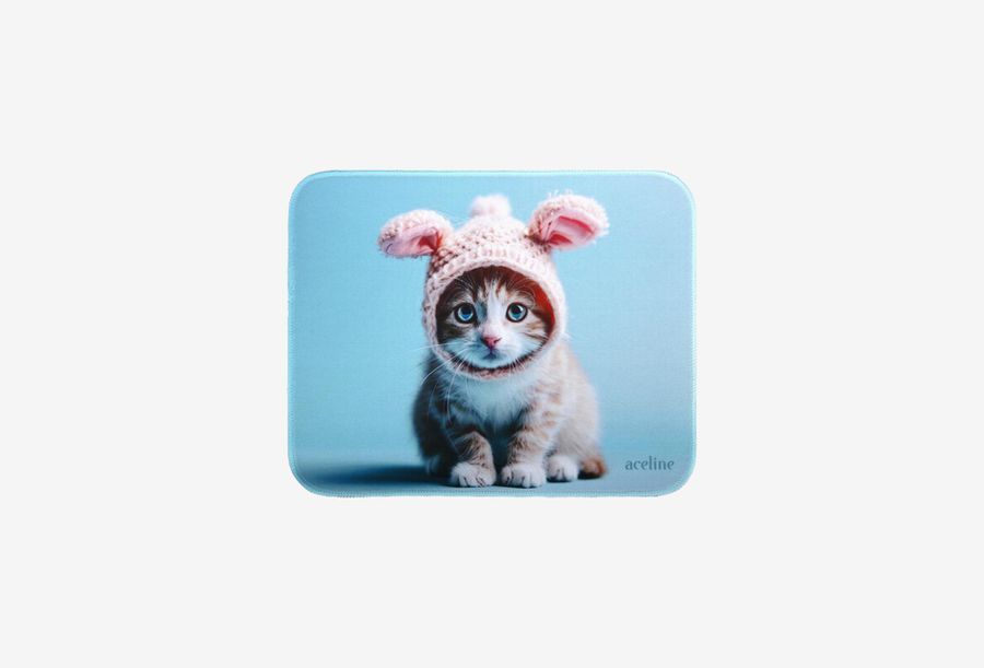 Aceline Cute kitten_0126526101536
