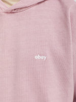 Мужская Толстовка Lowercase Pigment