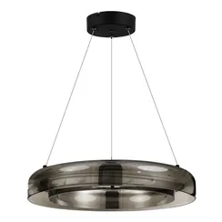 SL6019.333.01 Светильник подвесной ST-Luce Черный/Дымчатый, Белый LED 1*36W 3000K FORAY