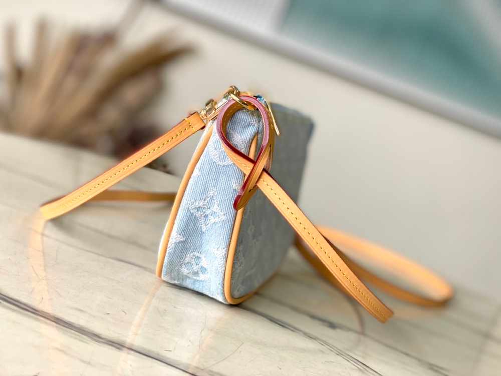 Louis Vuitton Pochette Accessoires