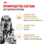Royal Canin Golden Retriever Корм сухой для взрослых собак породы Голден Ретривер 3 кг