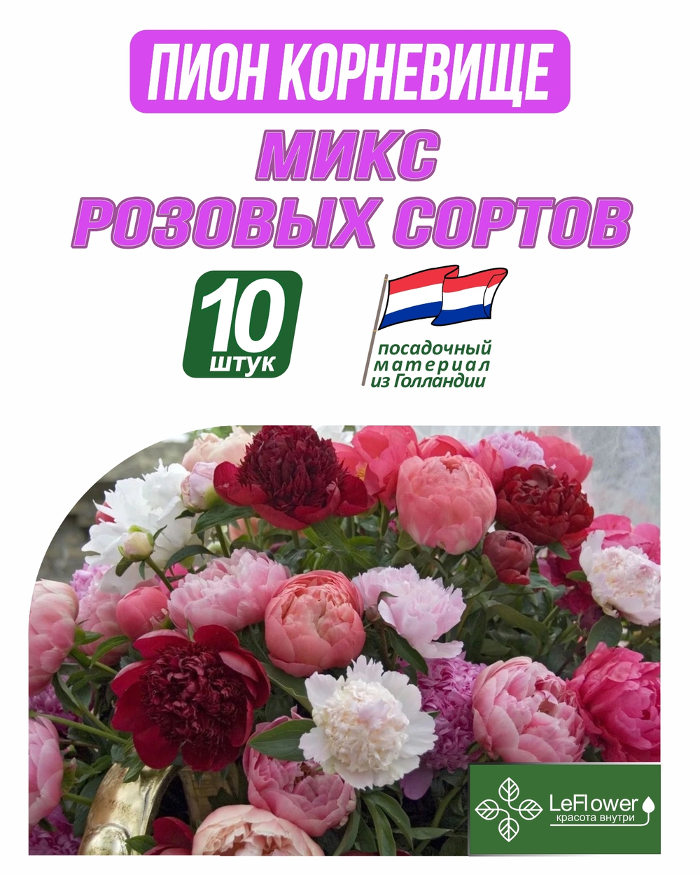 Пион Корневище, Микс розовых сортов, 10шт