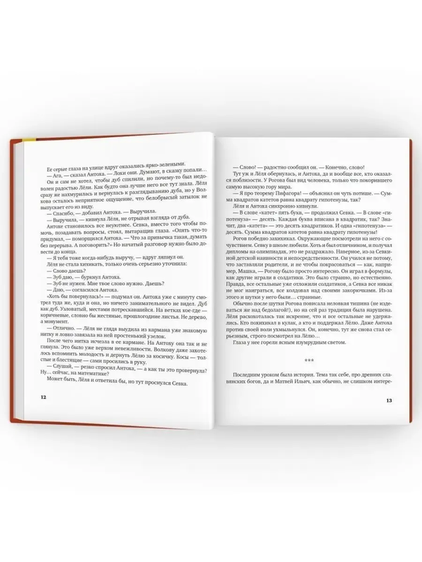 Гимназия №13