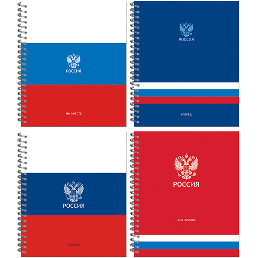 ТЕТРАДЬ ОБЩАЯ 96 ЛИСТОВ НА МЕТАЛЛИЧЕСКОМ ГРЕБНЕ “РОССИЯ”