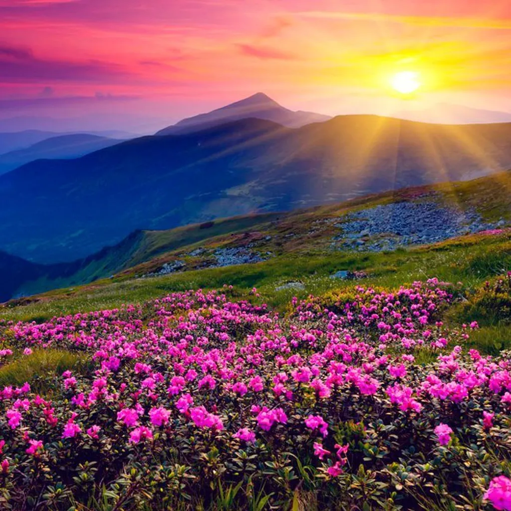 Трава саган дайля