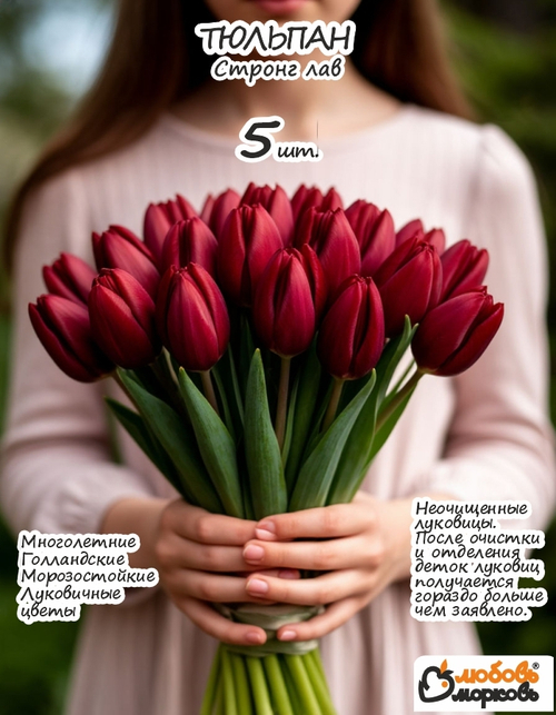 Тюльпан Луковица, Стронг Лав, 5шт (Любовь Морковь)