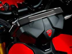 DCP25 BONAMICI DASHBOARD PROTECTION (P V4, SF V4)