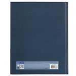 Дневник 1-11 класс 40 л., твердый, BRAUBERG, матовая ламинация, "Dragon", 107178