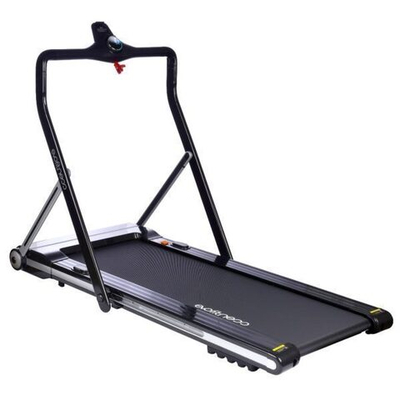 Evo fitness X450