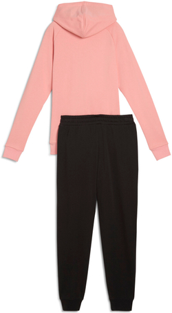 Костюм спортивный Puma Hooded Sweat Suit TR cl