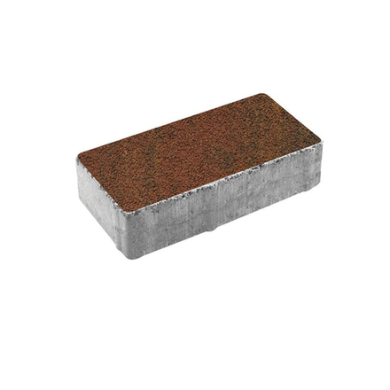 Тротуарная плитка ПРЯМОУГОЛЬНИК 200x100 мм - Листопад гранит Арабская ночь