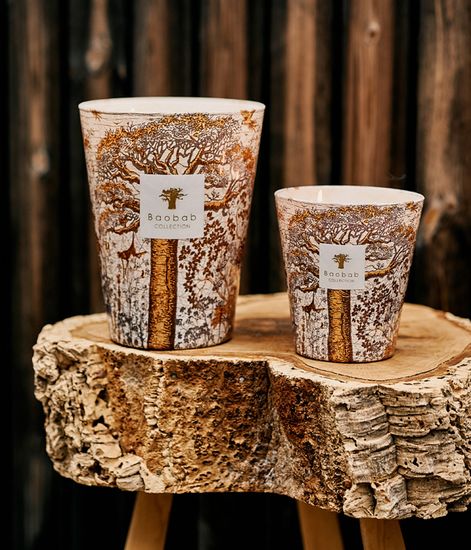 Dualla, свеча MAX 24 Sacred Trees collection, Baobab Collection