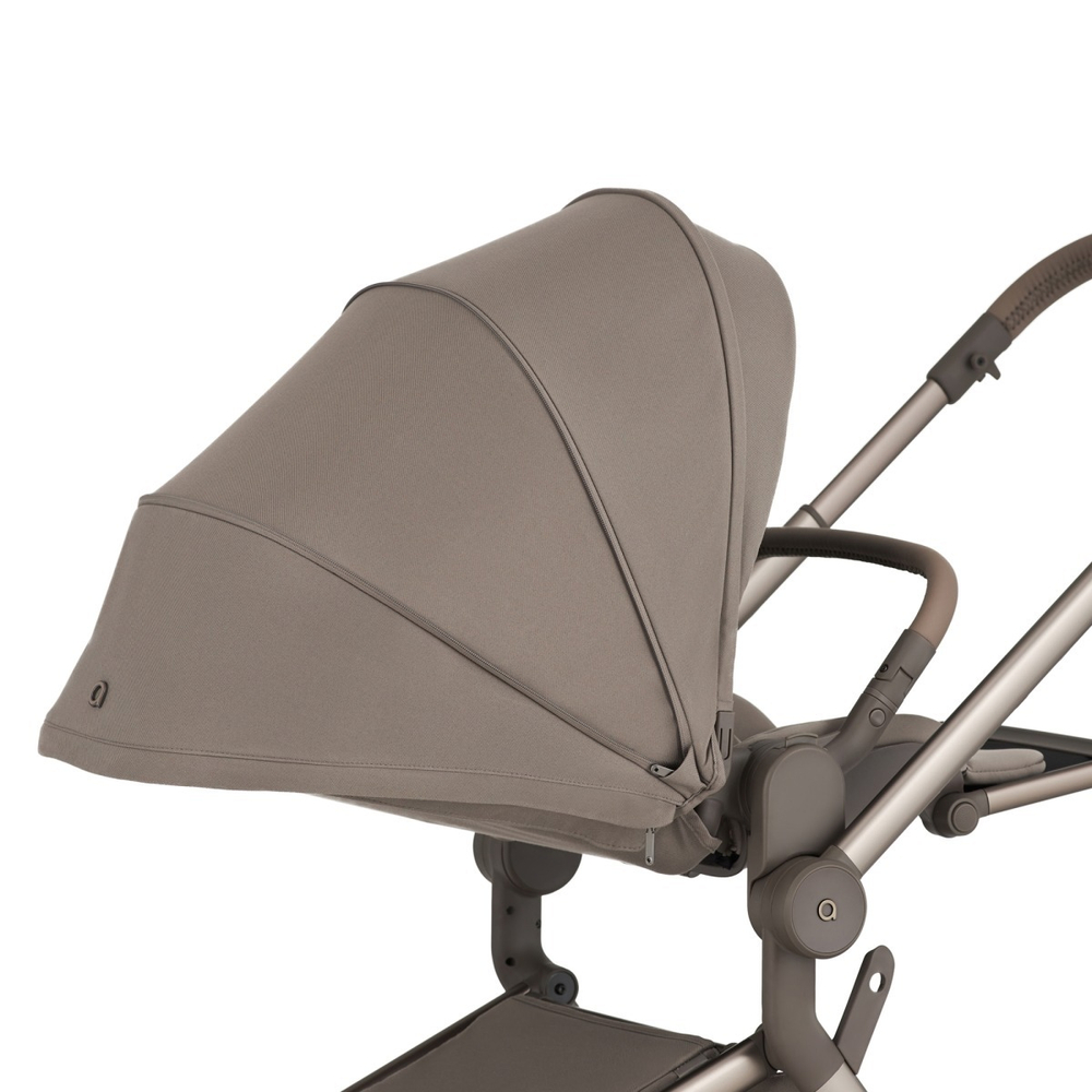 Anex Детская коляска Flo 2 в 1 Yuki