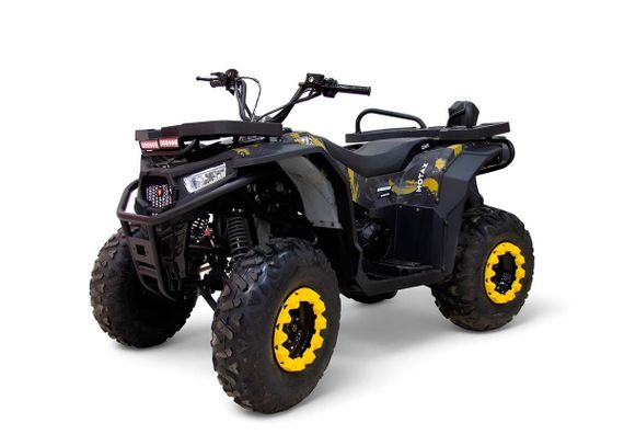 Квадроцикл MOTAX Grizlik W200