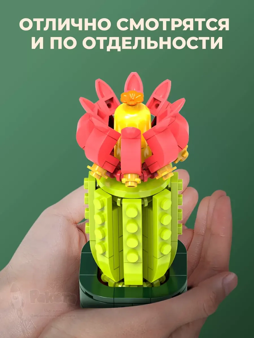 3Д конструктор Цветы в горшке: суккуленты