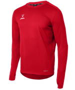 Джемпер тренировочный DIVISION PerFormDRY Pro Training Top, красный