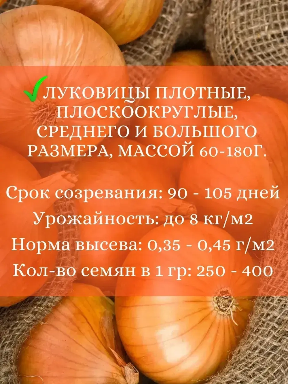 Семена Лук набор 3 шт по 0,5гр (Р,Б,Ш)